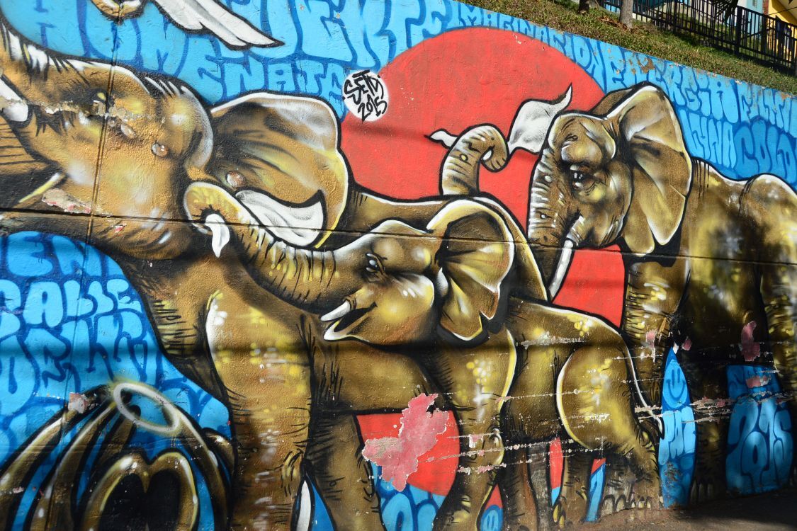 Comuna-13-graffiti-Elephant_Amanda-Obrien_1125-x-750.jpg